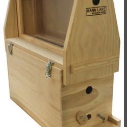 Bee Hive Observation 