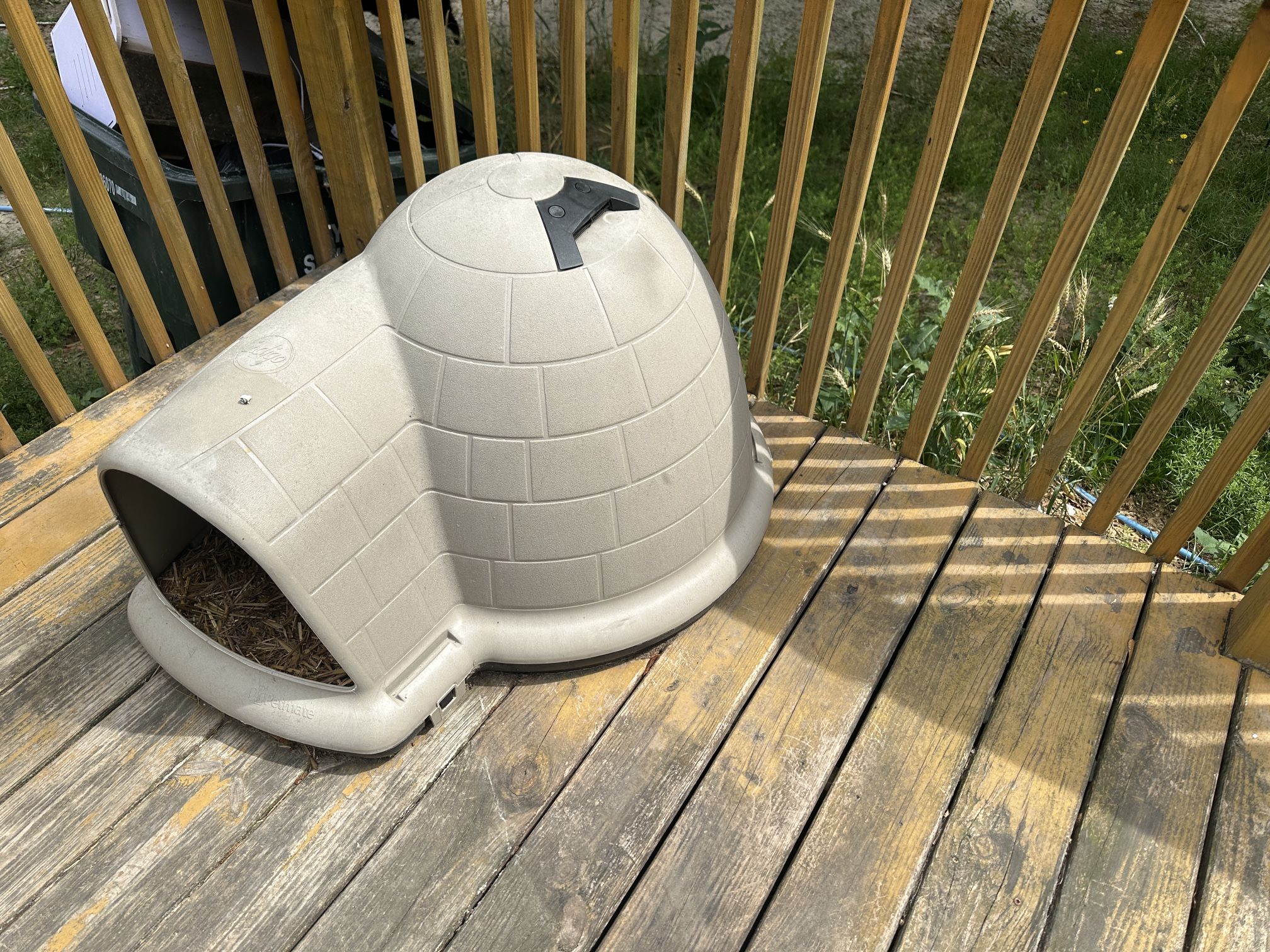 Dog Igloo