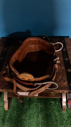 Tree climbing belt