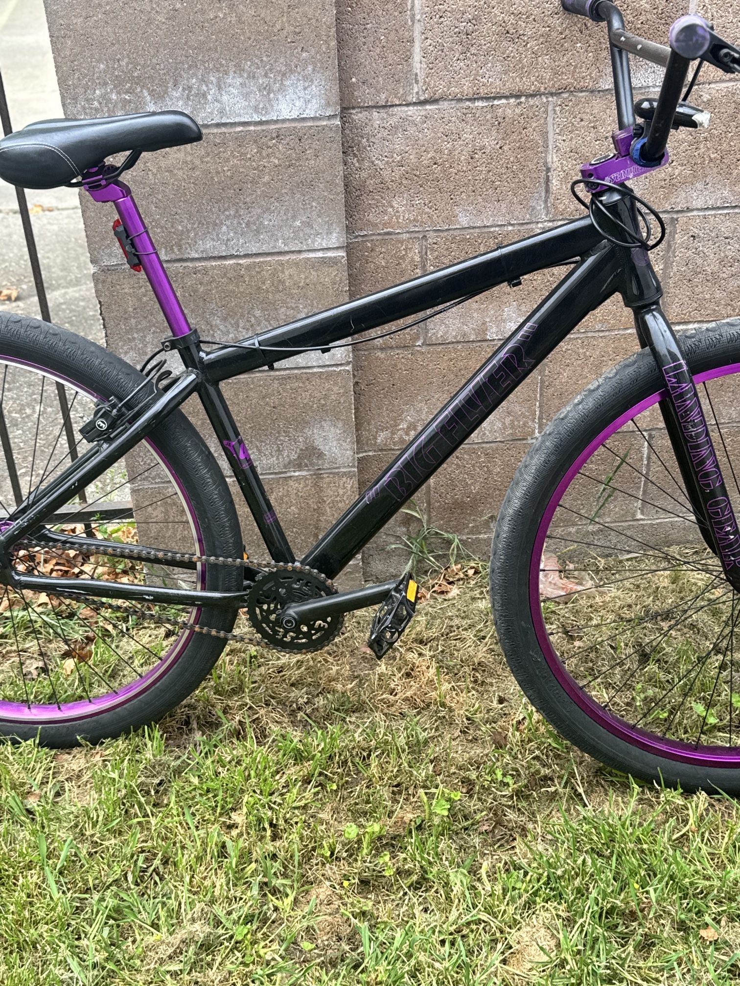 Big Flyer 29er / Hydrolock Brake/ 3 Piece Cranks