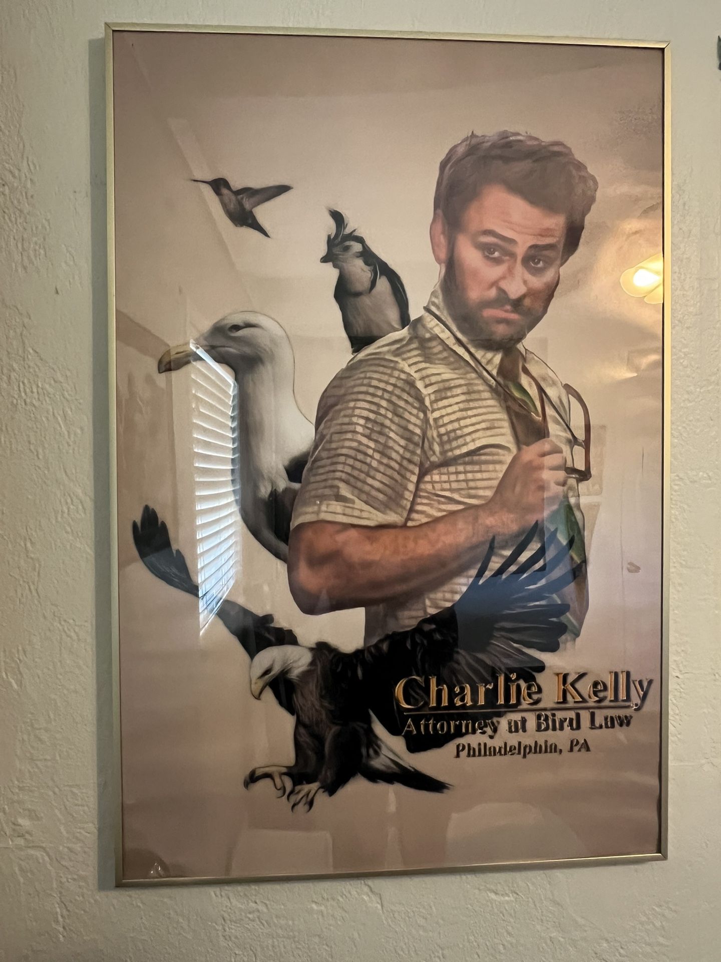 Charlie Kelly Bird Law Poster and Frame