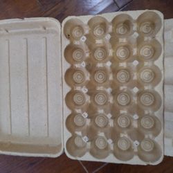 Egg Trays