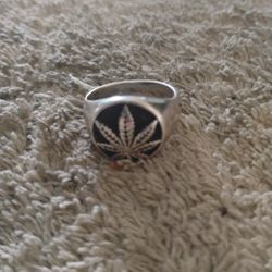 Marijuana Ring