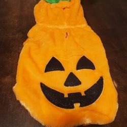 Adog Halloween Costume Pumpkin Size Medium 
