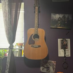 Ibanez Acoustic Guitar 150$ 