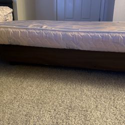 Bed Twin Size FREE