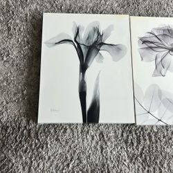 Picture Frames