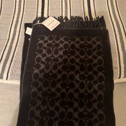 coach scarf