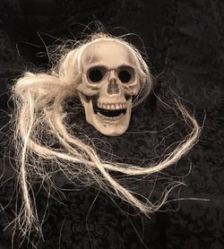 💀Halloween Skull 💀