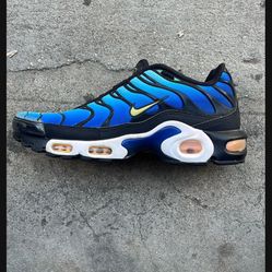 Nike Shoes TN AIR SHOES 