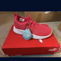 Pumas New