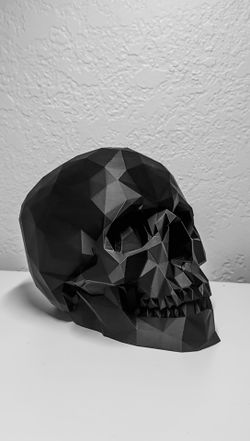 Modern Black Skull Decor (low poly) 3D Printed