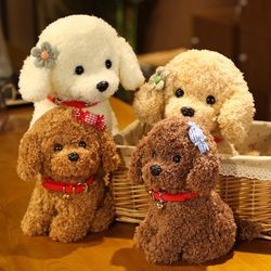 Toy poodle