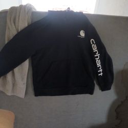 Kids Carhartt Hoodie 