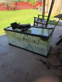 Fish Tank