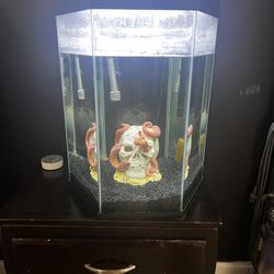 20 Gallon Hexagon Aquarium 