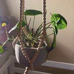 Plant hanger with Fake plant 
