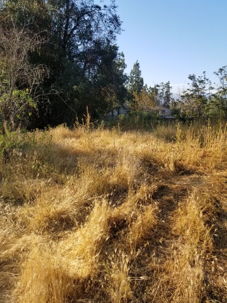 LAND FOR SALE IN COLTON RESIDENTIAL MIX USE 2 LOTS 27000 sq ft BY RECHE