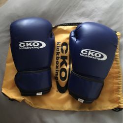 CKO Boxing Gloves, New With Bag  12 Oz 