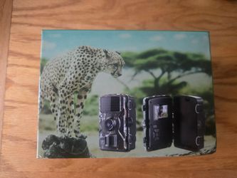 Wildlife Trail Camera