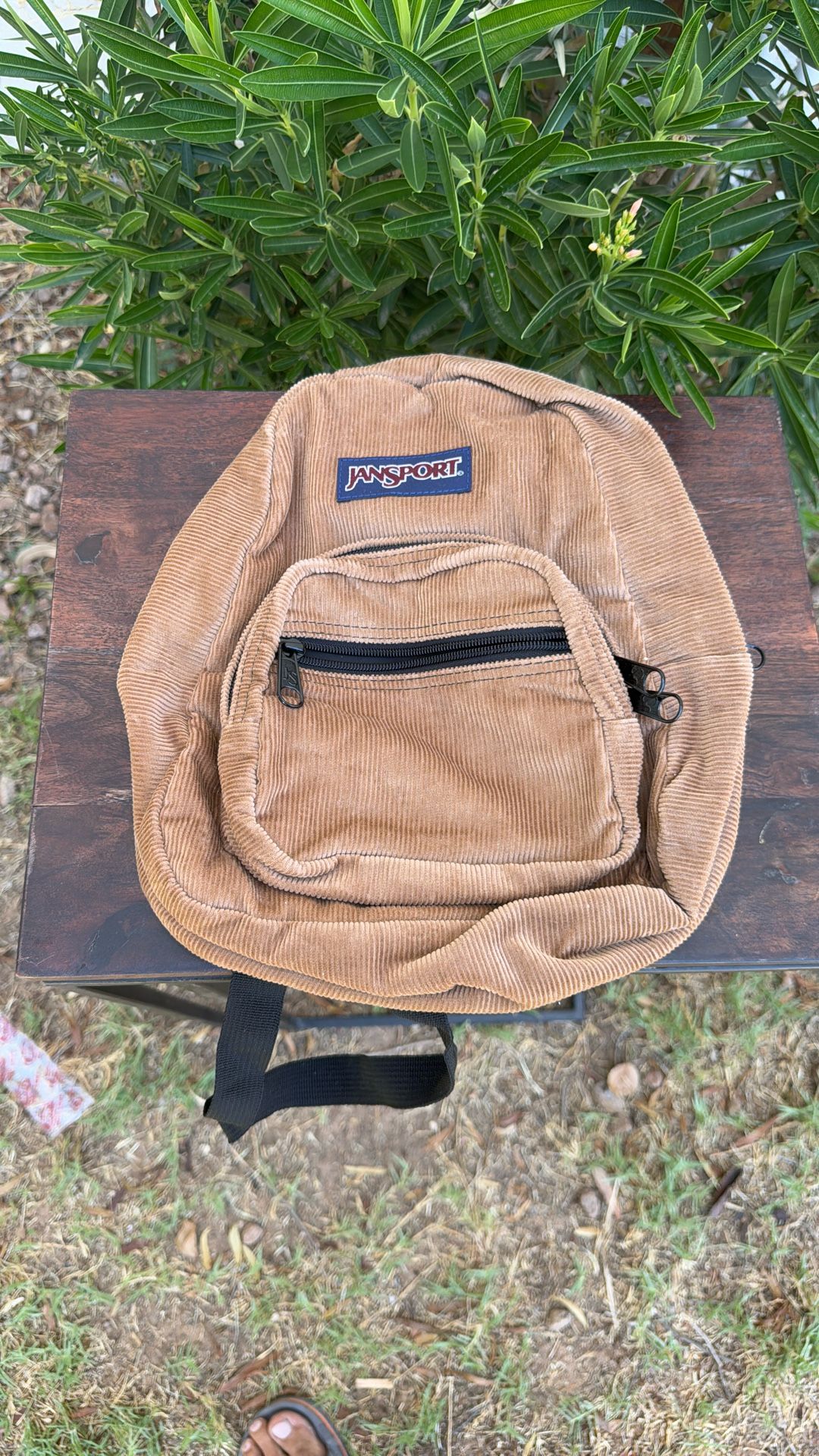 Small Jansport Backpack