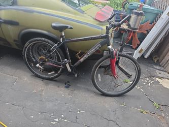 Schwinn bike
