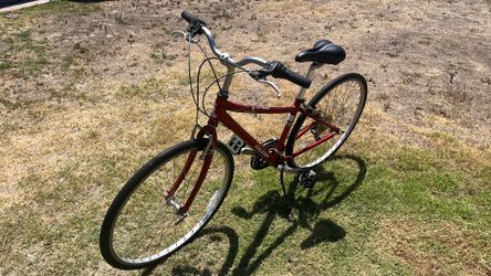 Hybrid Bike