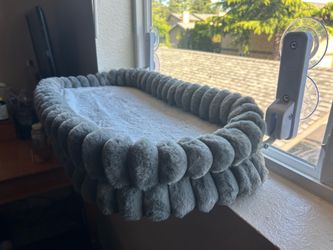 Window perch for cat