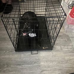 Dog Crate 