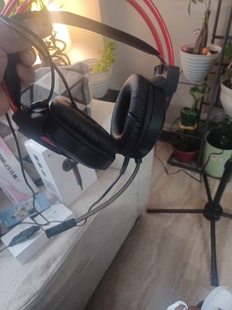 Headphones With Mic