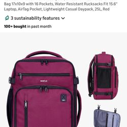 Ecohub Traveling Backpack 