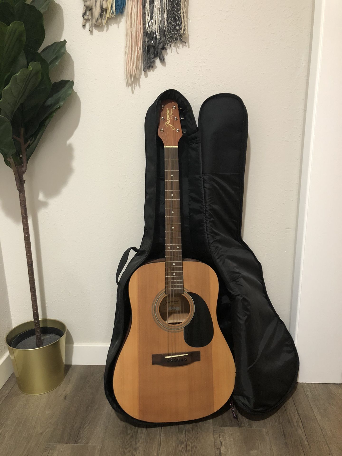 Takamine (Jasmine) Guitar