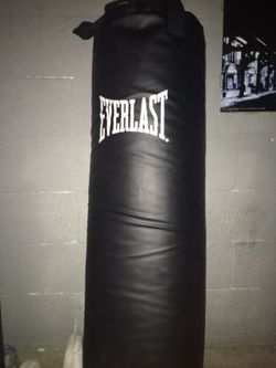 Everlast heavy bag 45$ bethel rd area