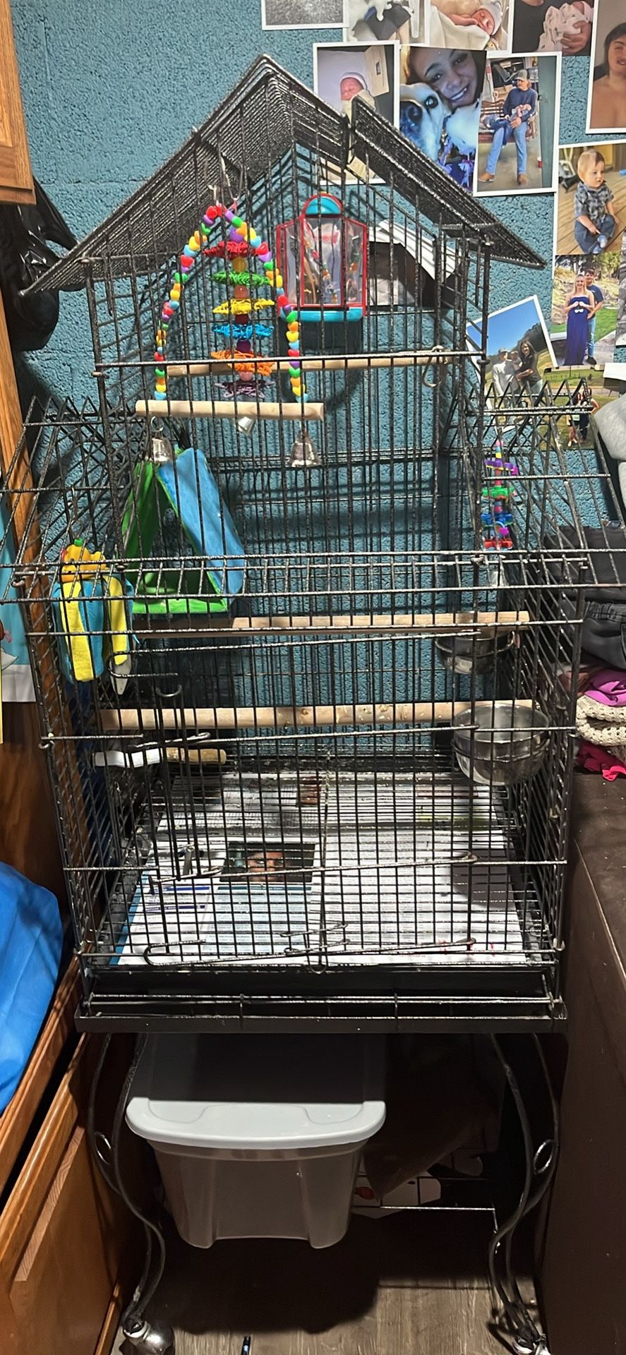 Bird Cage
