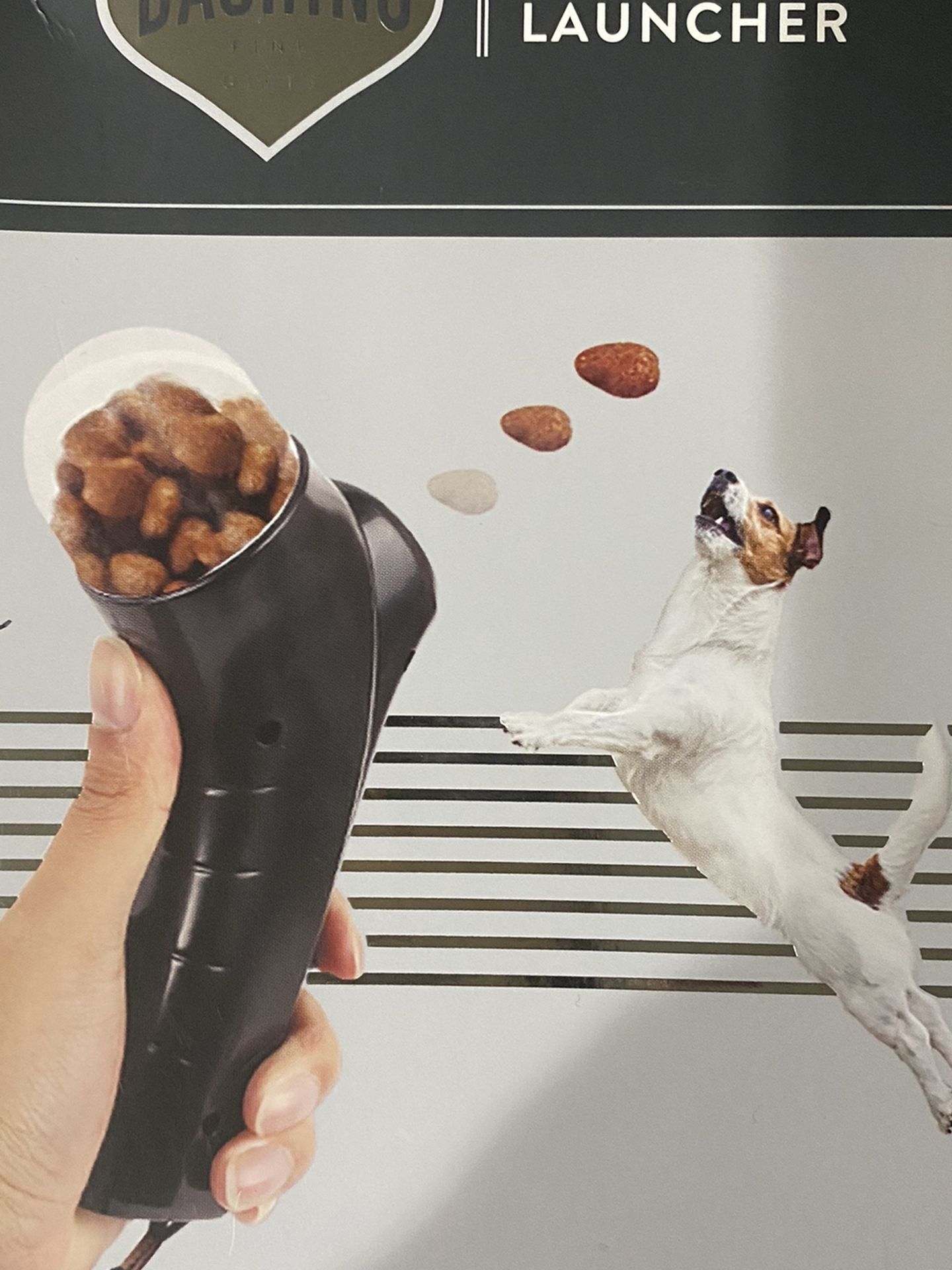 Pet Treat Launcher