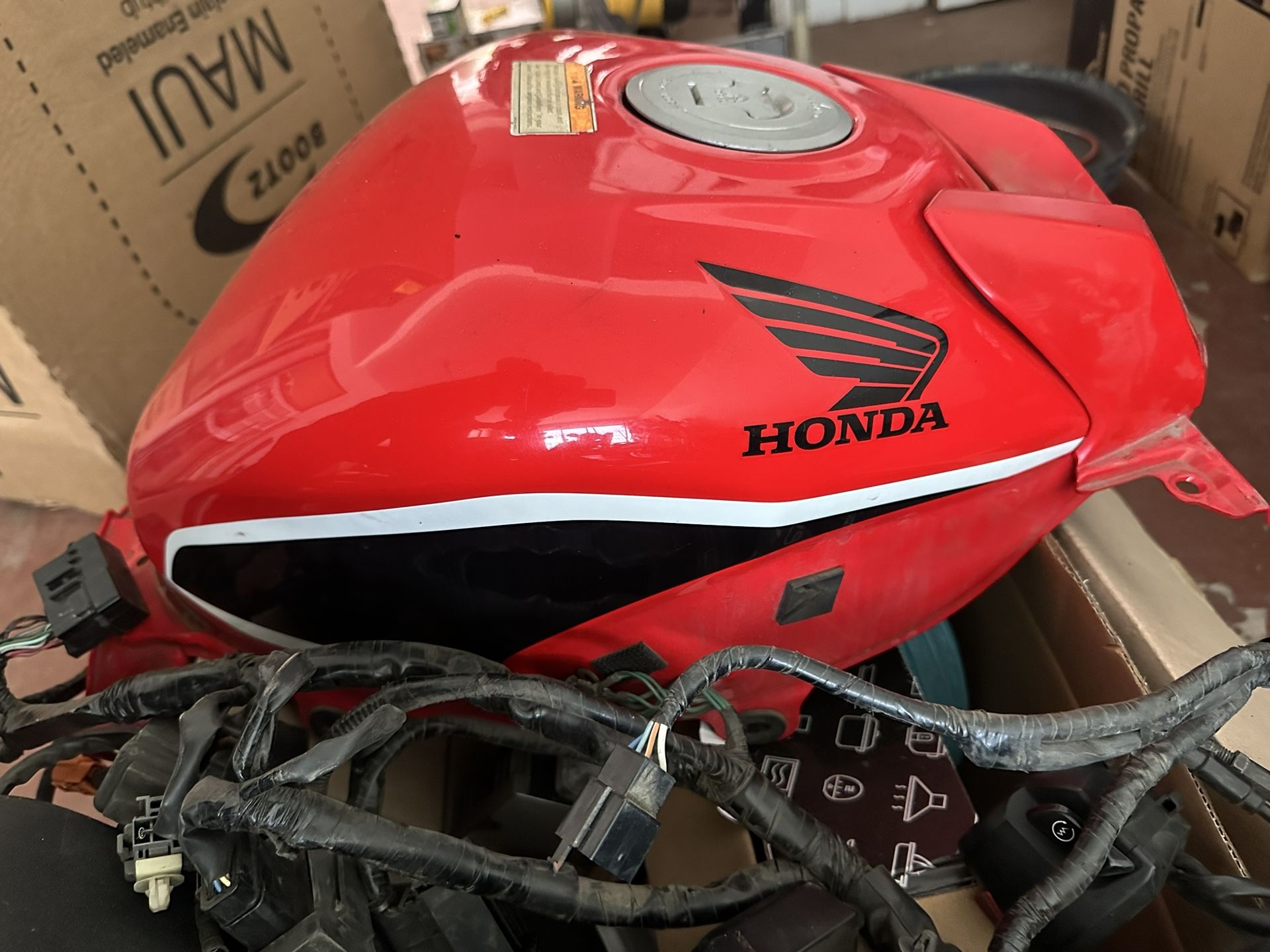 CBR300R Harness & Gas tank