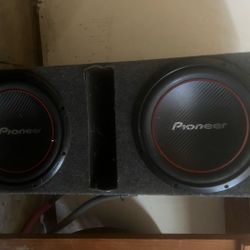 2 12 Inch Subwoofers 