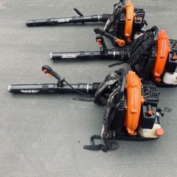 Echo Commercial Gas Blower 