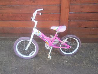 Titan Princess Kids Bike Pink