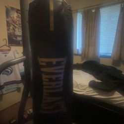 Everlast Punching Bag 