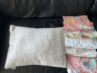 Zack & Ali Toddler Pillow And Pillow Cases
