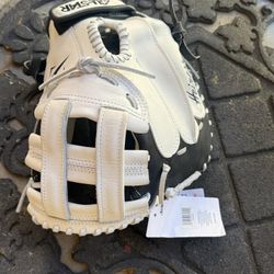 Catchers Glove 