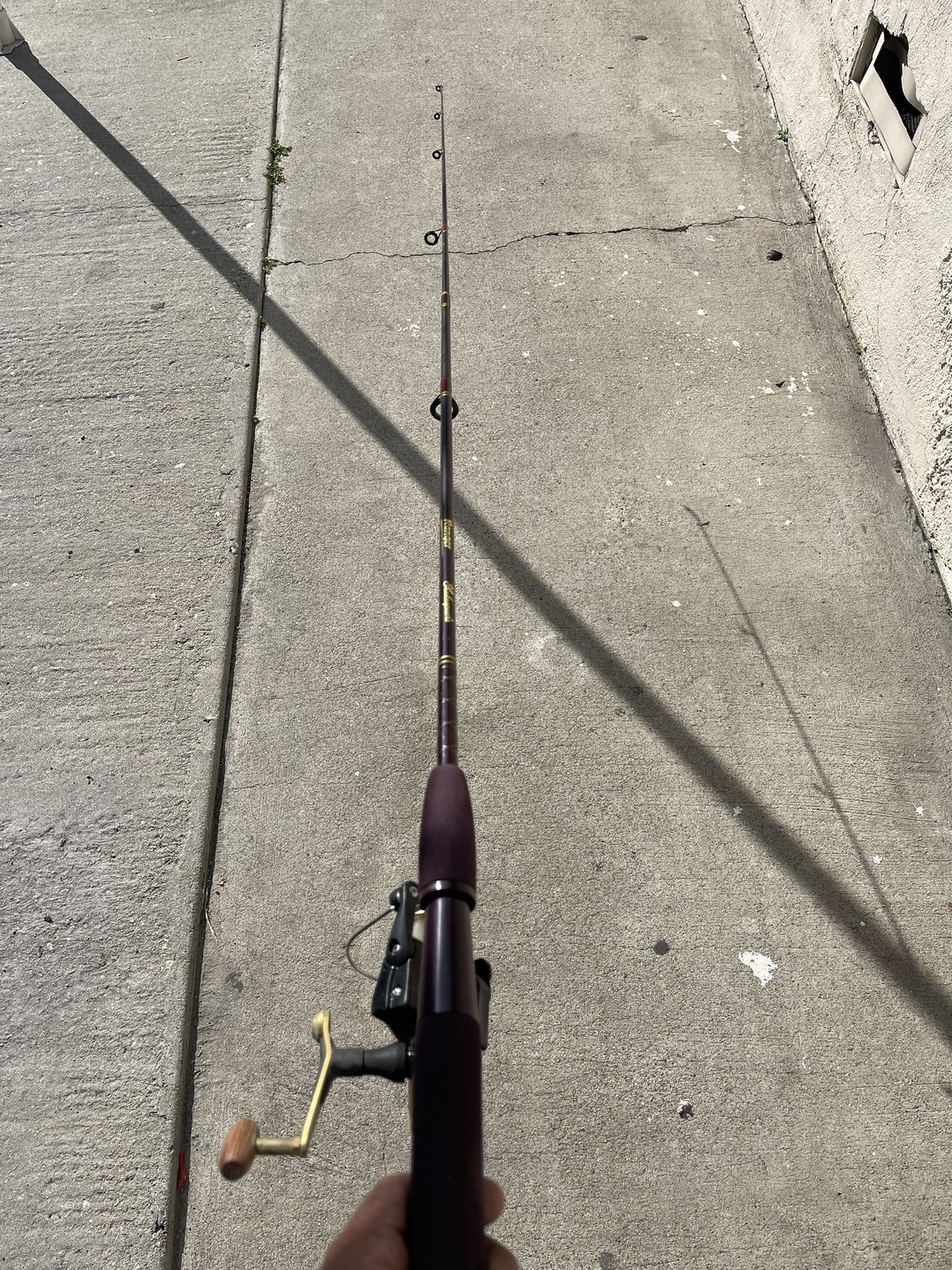 Fishing Pole for Sale in South Gate, CA OfferUp