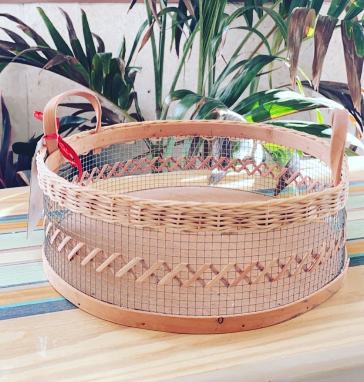 Woven Round basket with Handles