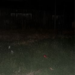 Looking To Hire An Gardeners 