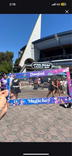 Disneyland magic key license plate cover