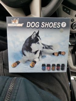 Dog Shoes