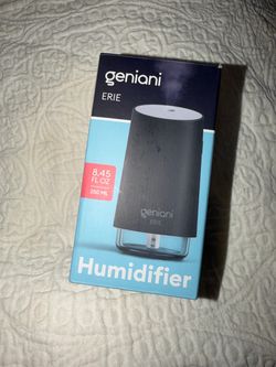 Mini humidifier 250ml