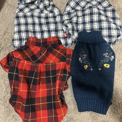 dog clothes and backpacks 