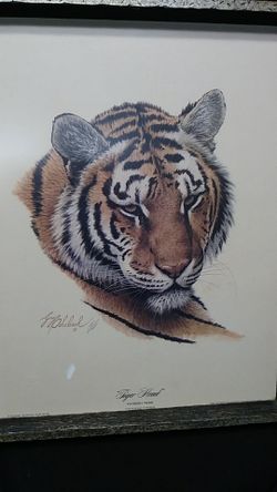 Vintage tiger head print 1975 print